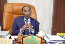 somali finance minister